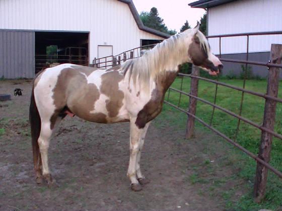 lilbreeze2011.jpg