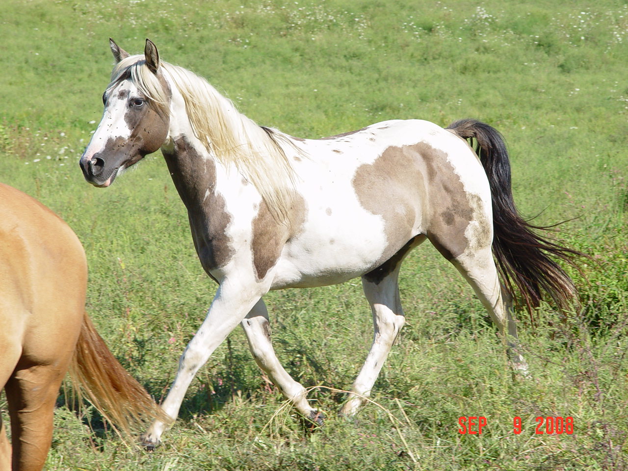 lilbreeze08.jpg